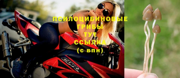 PSILOCYBIN Новодвинск