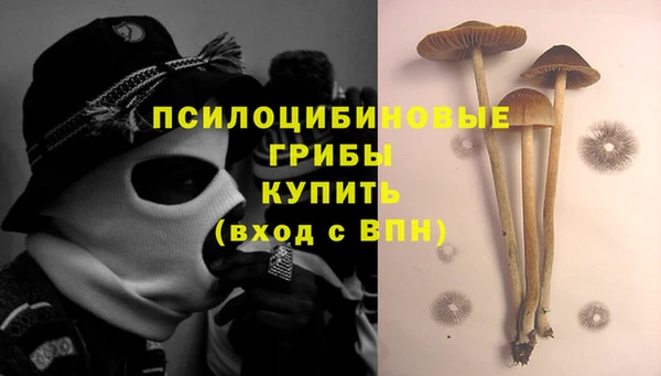 PSILOCYBIN Новодвинск