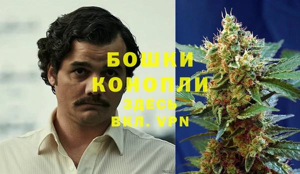 PSILOCYBIN Новодвинск