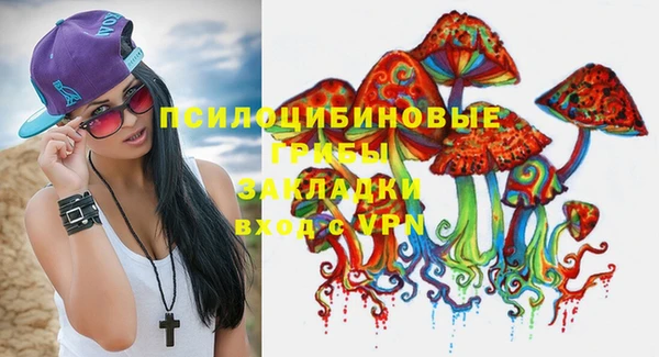 mix Новозыбков