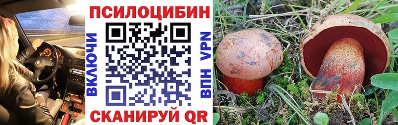 Галлюциногенные грибы Cubensis  наркошоп  Катайск 