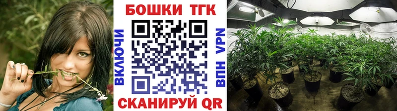Бошки марихуана MAZAR  купить наркоту  Катайск 